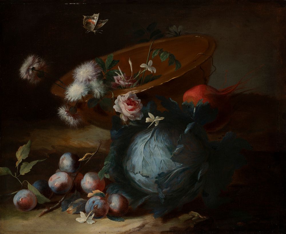 Still Life