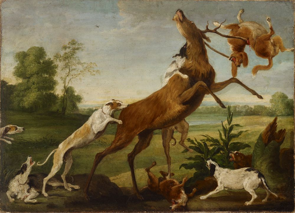 The deer hunt
